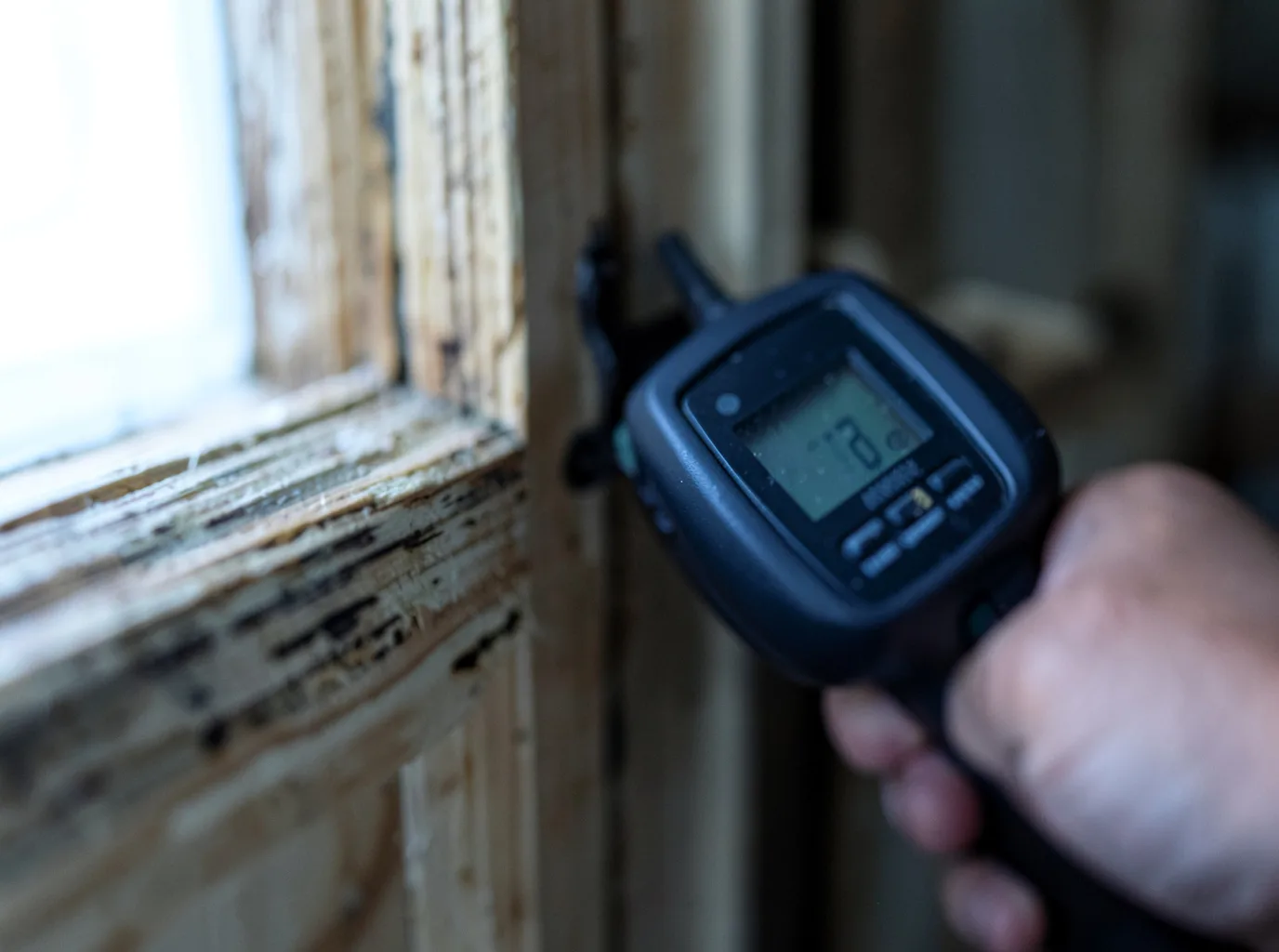 Moisture Inspection And Documentation in Lolita, TX